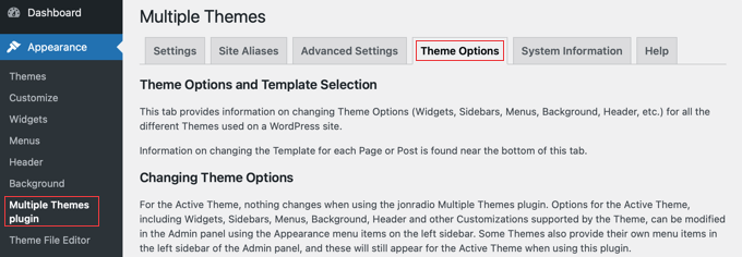 For More Advanced Theme Options, Take a Look at the Theme Options Tab