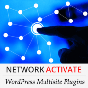 Should You Network Activate All Plugins on WordPress Multisite