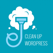 Clean up WordPress Database