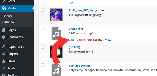 Editing an audio file in WordPress