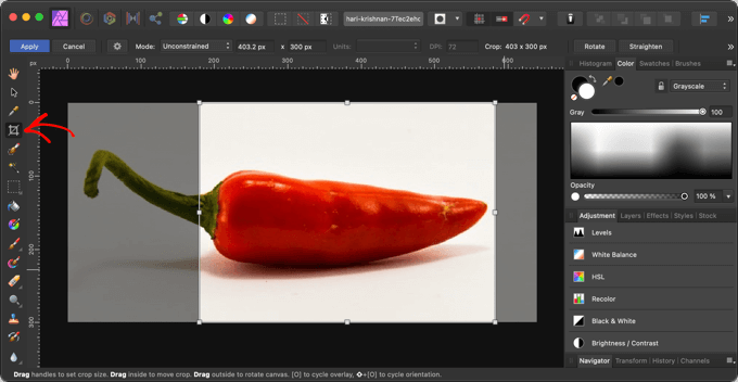Cropping an Image With Affinity Paint