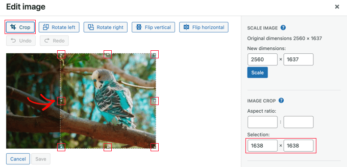 Drag the Crop Handles to Select an Area