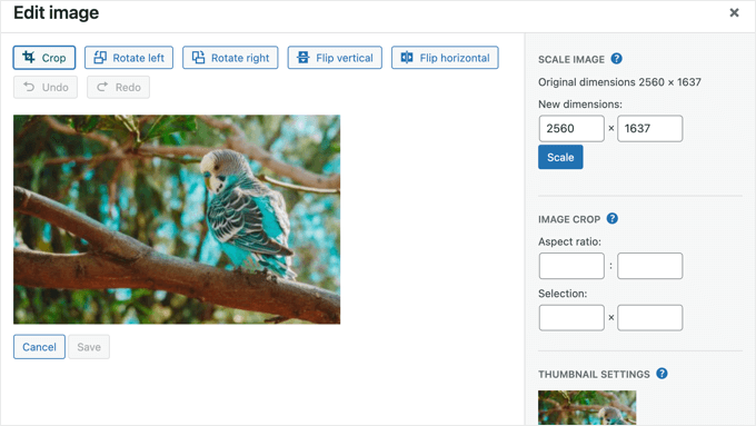 The WordPress 'Edit Image' Page