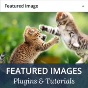 14 Best Featured Images Plugins and Tutorials for WordPress
