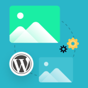 Como Usar o WP Smush