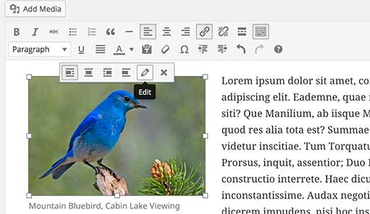 Editing an image in WordPress