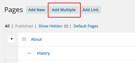 Add multiple pages quickly