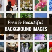 How to Find Beautiful Background Images for Your WordPress Site