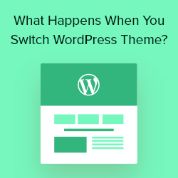 What Happens When You Buy a WordPress Theme 