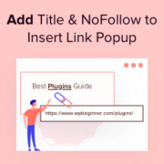 How to Add Title and NoFollow to Insert Link Popup in WordPress