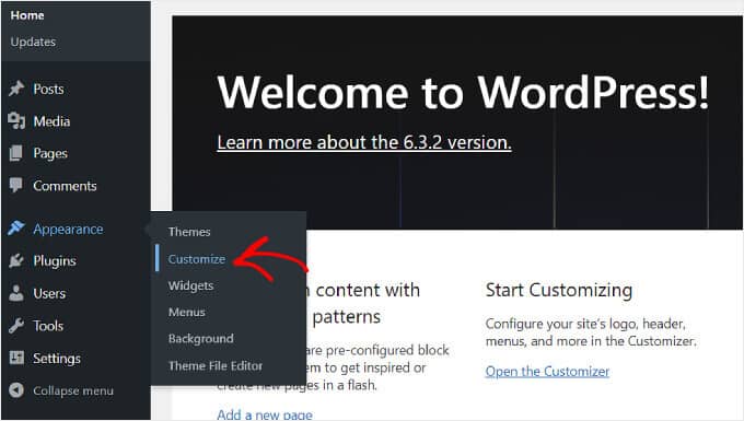 Selecting the Customize setting from the WordPress appearance menu