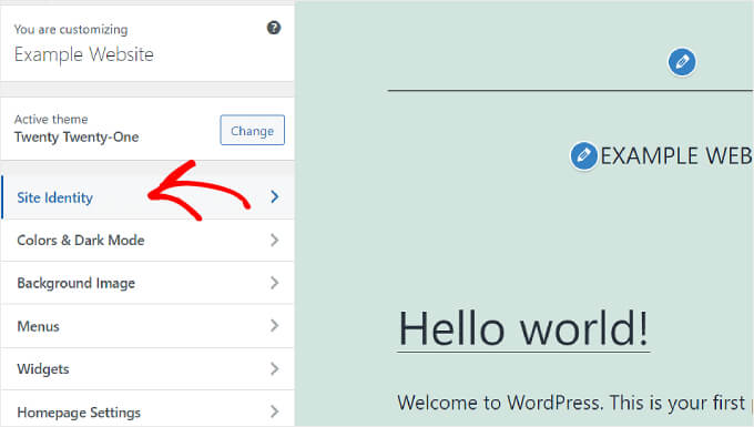 Selecting the Site Identity tab on the WordPress Theme Customizer