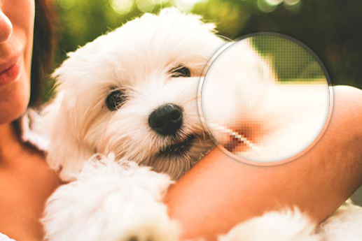 Pixel zoomed preview