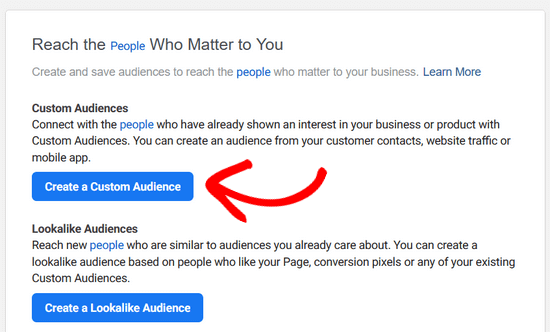 Click the Create Custom Audience button