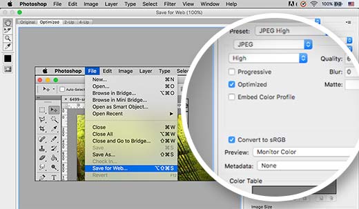 在 Adob​​e Photoshop 中将颜色转换为 RGB 并保存为 Web