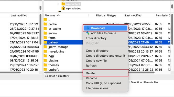 Delete extra files using FTP