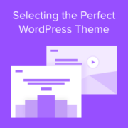Selecting the Perfect WordPress Theme – 9 Things You Should Consider