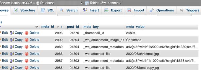 Image meta data stored in WordPress database