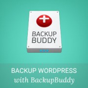 Keep Your WordPress Content Safe with BackupBuddy