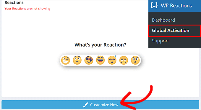 Click Customize Now button