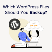 Which WordPress files should you backup and the right way to do it