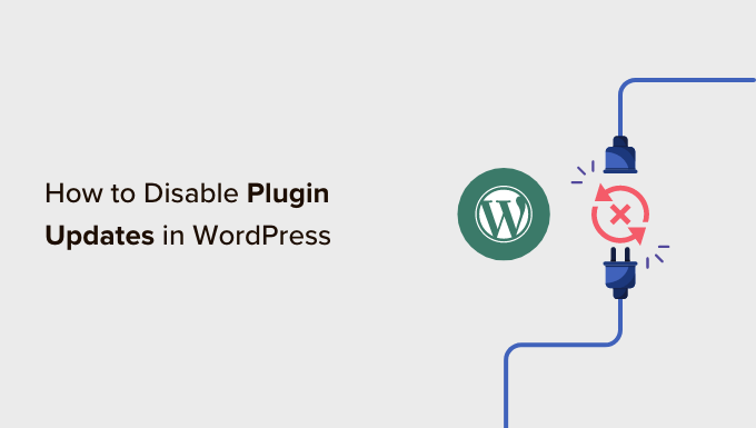 Disable plugin updates in WordPress