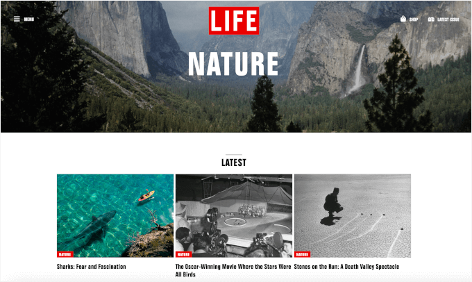 LIFE magazine uses featured images to engage readers LIFE magazine uses featured images to engage readers