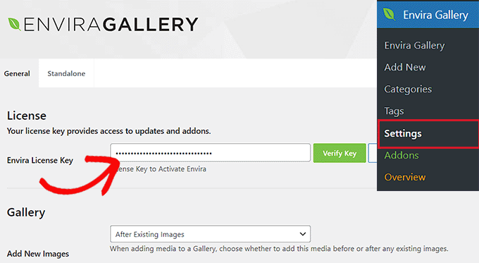 Adicionar a chave de licença do Envira Gallery