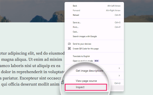 Basics of Inspect Element: Customizing WordPress for DIY Users