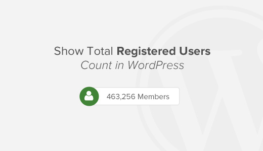 如何在 WordPress 中显示注册用户总数
