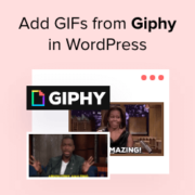 How to add GIFs from Giphy in WordPress