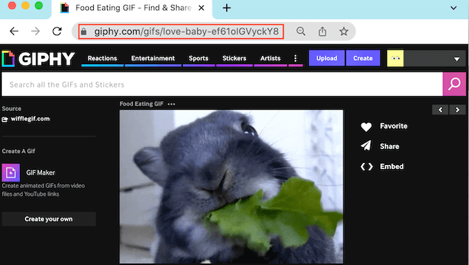 Copying a Giphy GIF URL