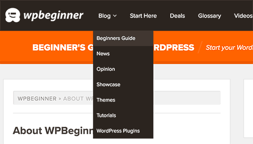 在 WordPress 导航菜单中显示博客主题