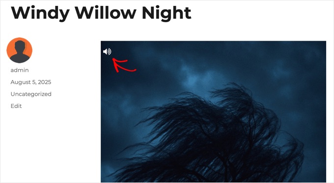 Förhandsgranskning av ljudberättelser