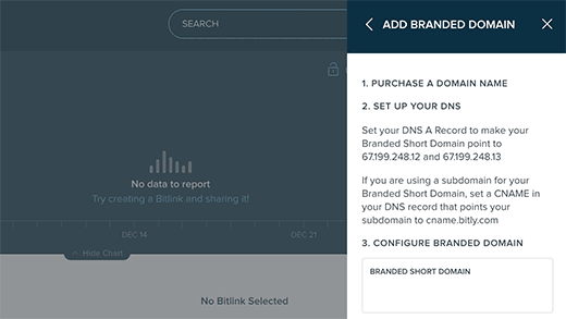 Bitly short domain settings