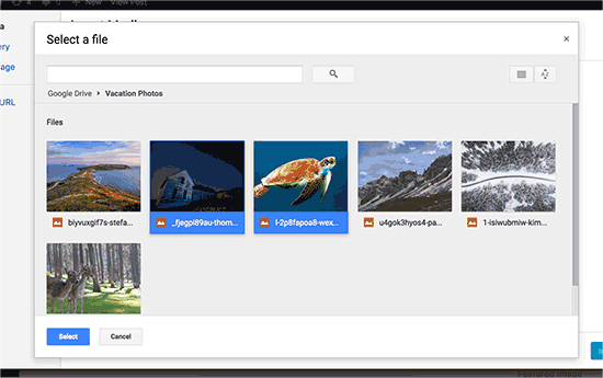 Select files you want to import from Google Drive