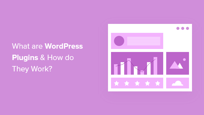 什么是 WordPress 插件？ 它们是如何工作的？