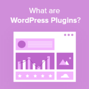 What Are WordPress Plugins? And How Do They Work?
