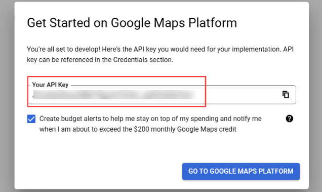 Copy API Key