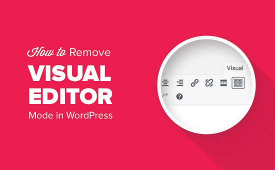 Como remover o modo de editor visual no WordPress