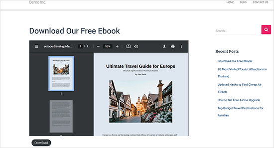PDF file embed preview