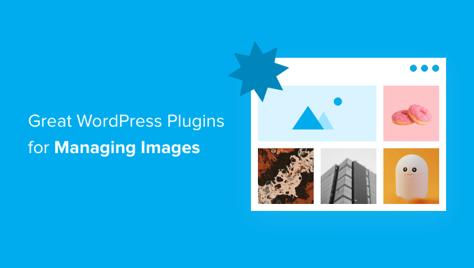 Best WordPress Plugins for Managing Images