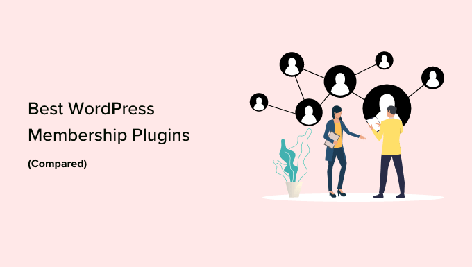 最佳 WordPress 会员插件比较