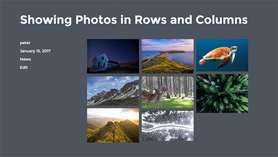 Photos in rows and columns