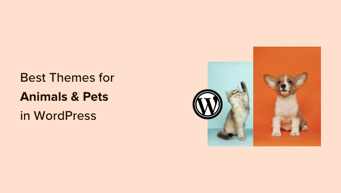 动物和宠物的最佳 WordPress 主题