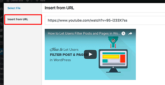 Insert video URL inside Video widget