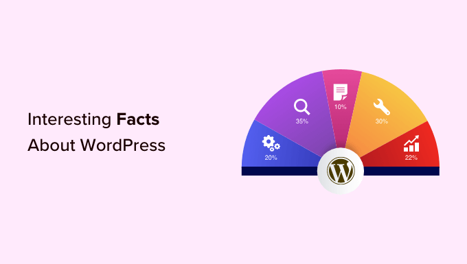 关于 WordPress 的有趣事实