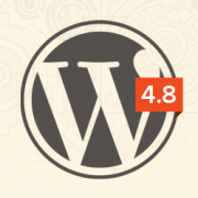 What's Coming in WordPress 4.8 (Features and Screenshots)