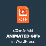 How to Add Animated GIFs in WordPress
