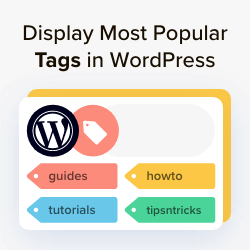 How to Display Most Popular Tags in WordPress